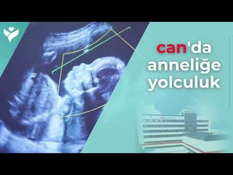 Doğum Süreci videosunun kapak görseli