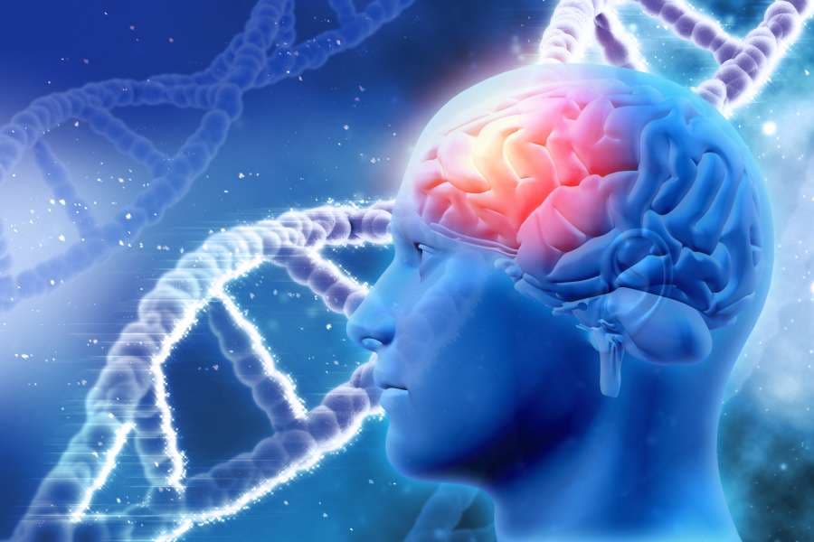 Epilepsi nedir?