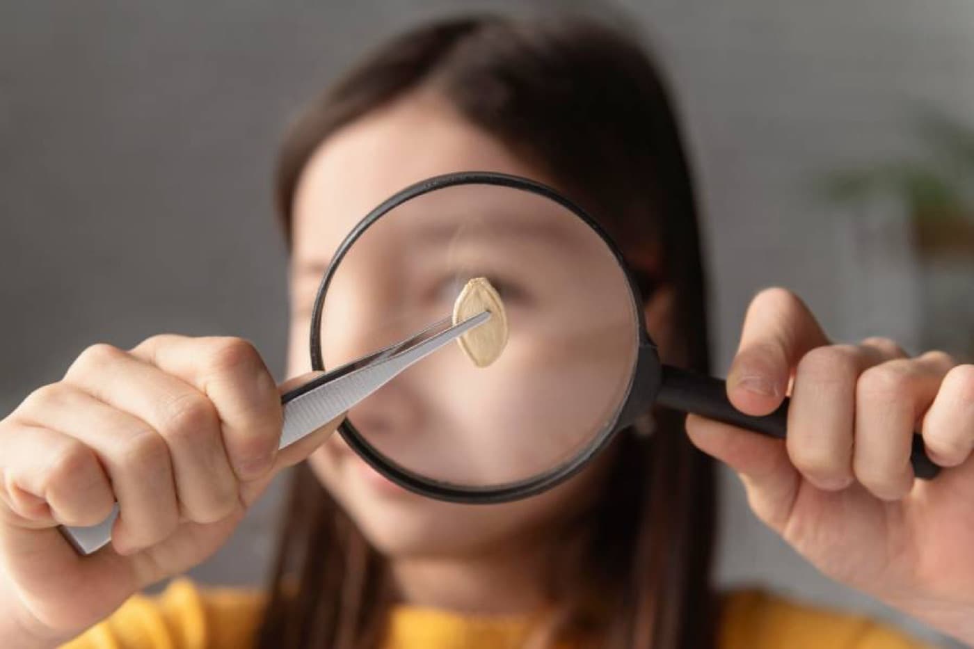 Ferritin nedir?